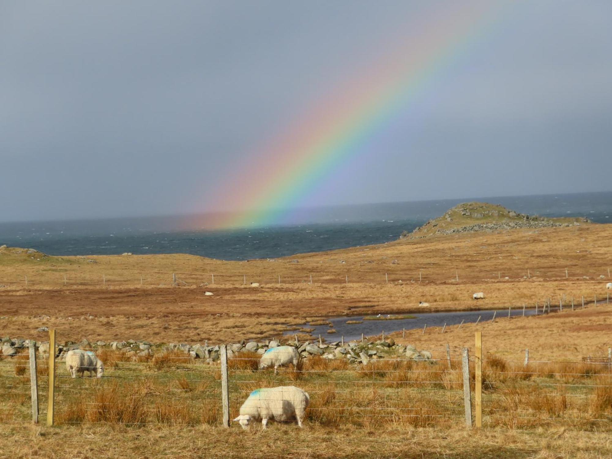 Squealing Pig Bothy Villa Barvas Buitenkant foto