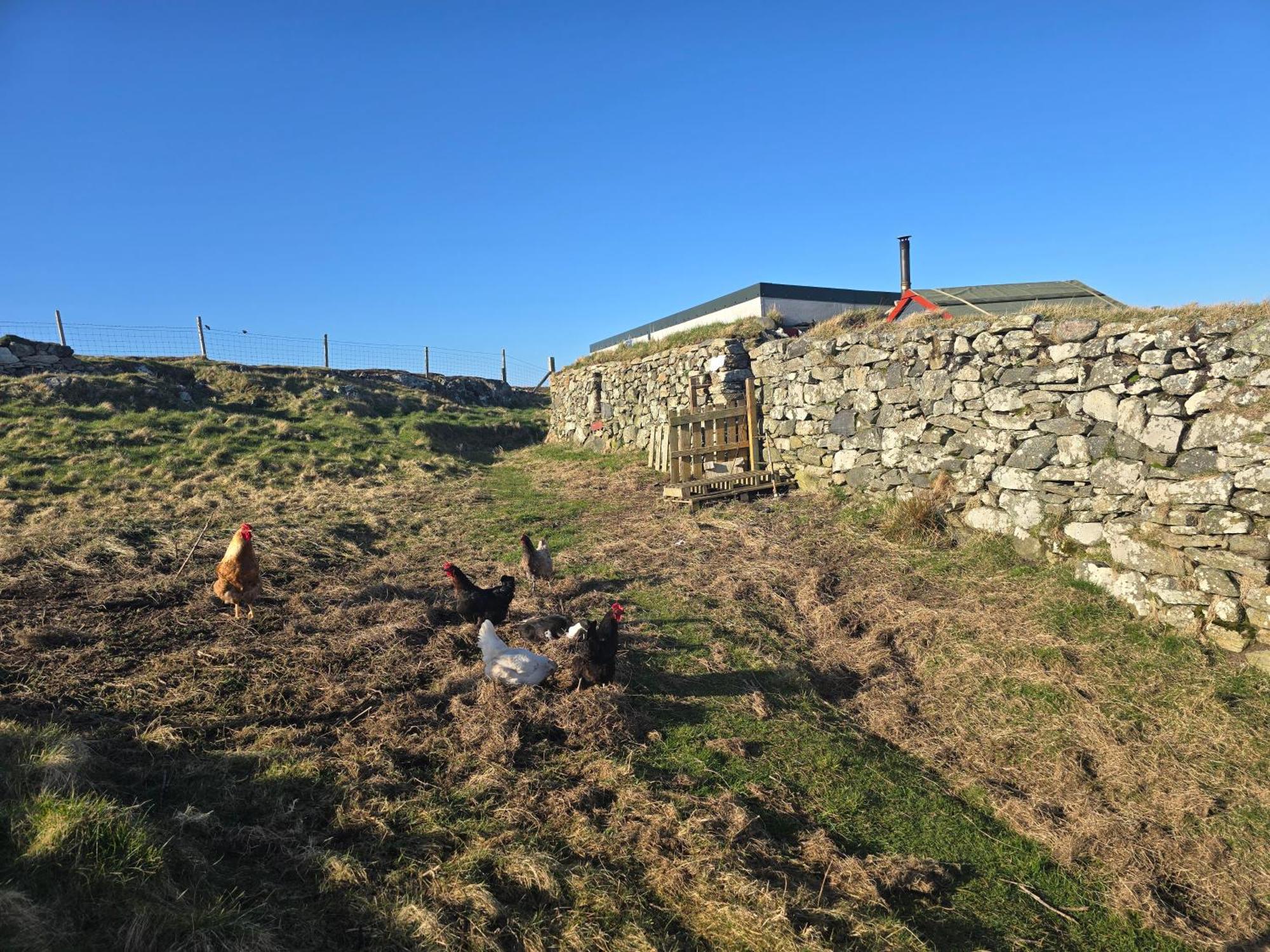 Squealing Pig Bothy Villa Barvas Buitenkant foto
