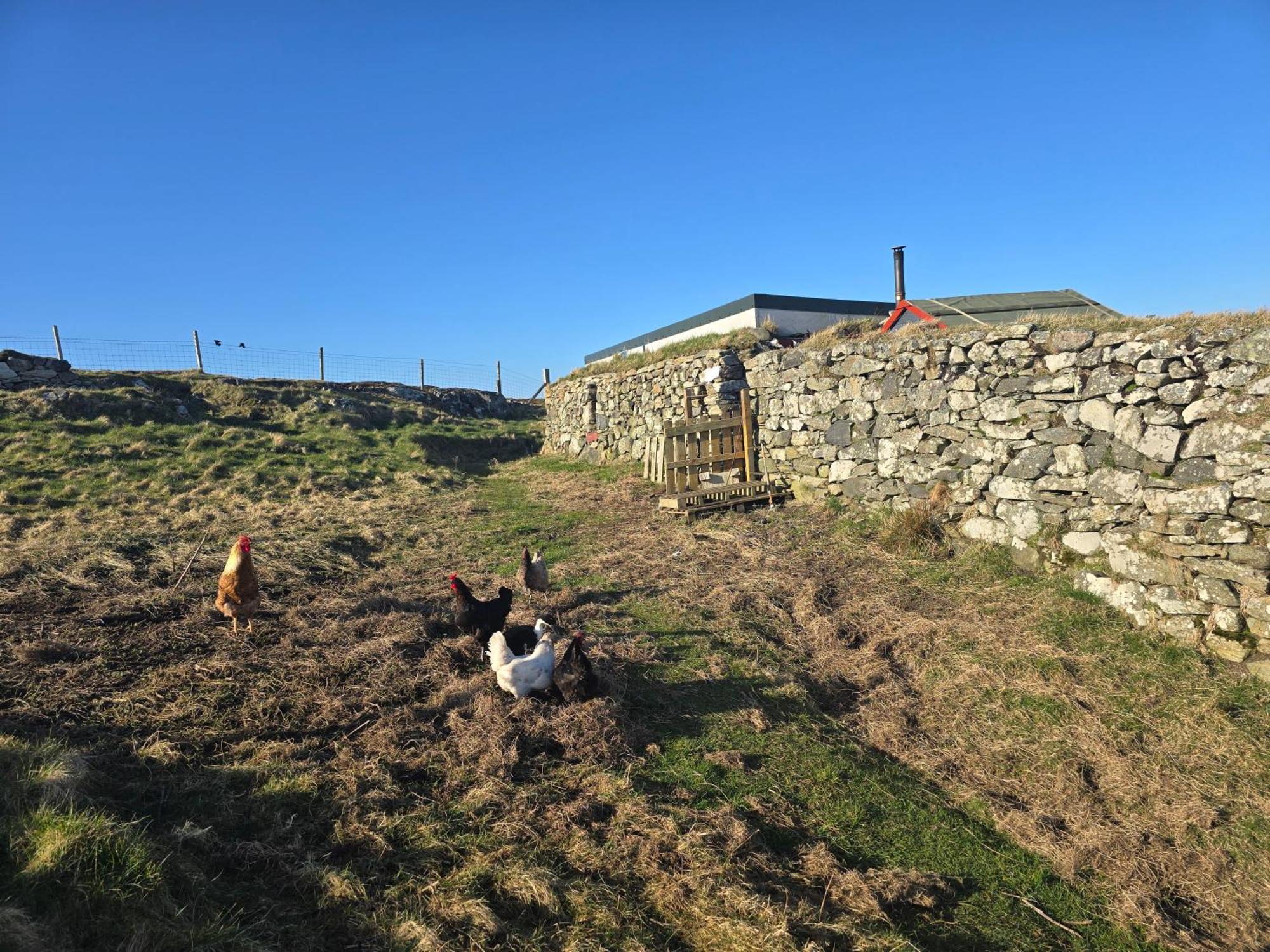 Squealing Pig Bothy Villa Barvas Buitenkant foto